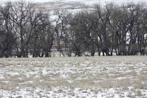 39731 E Costilla Ave, Bennett, CO 80102 photo 27