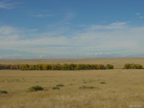 39731 E Costilla Ave, Bennett, CO 80102 photo 6