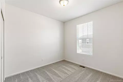 2098 Peachleaf Loop, Castle Rock, CO 80108 photo 24