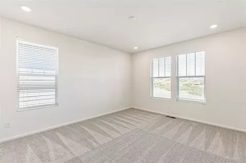 2098 Peachleaf Loop, Castle Rock, CO 80108 photo 16