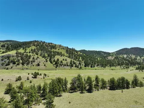 00 Elk Mountain Rd, Guffey, CO 80820