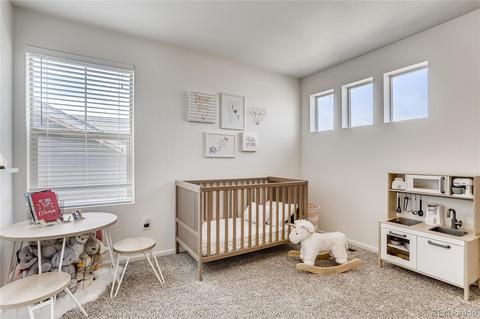 17820 E 44th Pl, Denver, CO 80249 photo 9