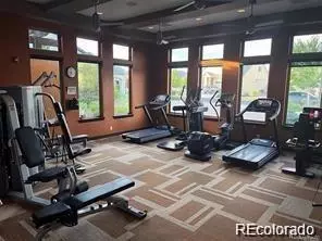 Other - 20412 E 52nd Ave, Denver, CO 80249 photo 16 of 20