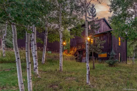 Exterior - 19 Yew Ln, Bailey, CO 80421 photo 4 of 9