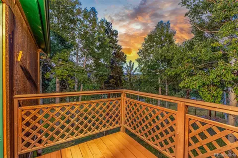 Exterior - 19 Yew Ln, Bailey, CO 80421 photo 3 of 9