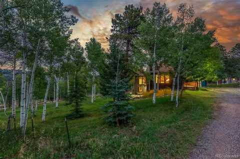 Other - 19 Yew Ln, Bailey, CO 80421 photo 12 of 12