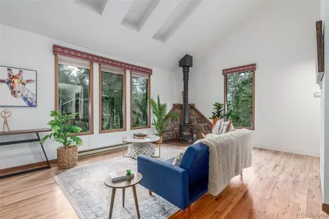 Living - 19 Yew Ln, Bailey, CO 80421 photo 2 of 4