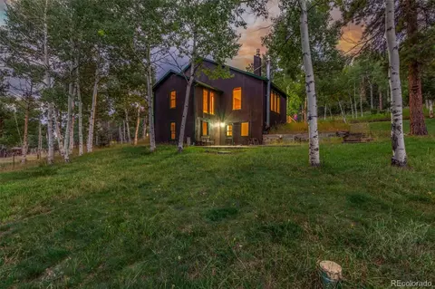 Exterior - 19 Yew Ln, Bailey, CO 80421 photo 7 of 9