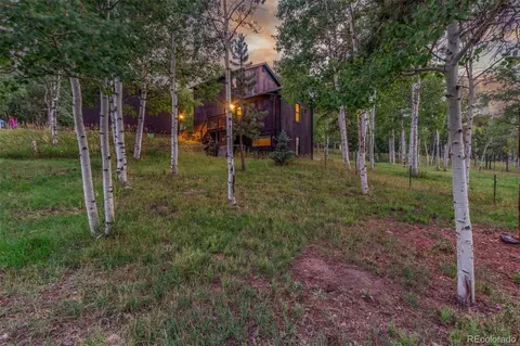 Other - 19 Yew Ln, Bailey, CO 80421 photo 10 of 12