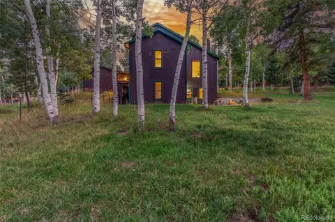 Other - 19 Yew Ln, Bailey, CO 80421 photo 11 of 12