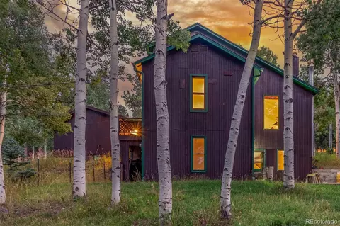 Exterior - 19 Yew Ln, Bailey, CO 80421 photo 5 of 9