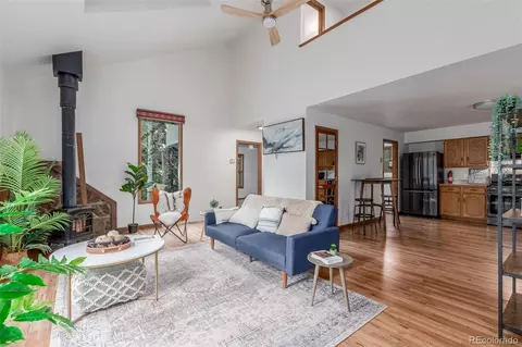 Living - 19 Yew Ln, Bailey, CO 80421 photo 1 of 4