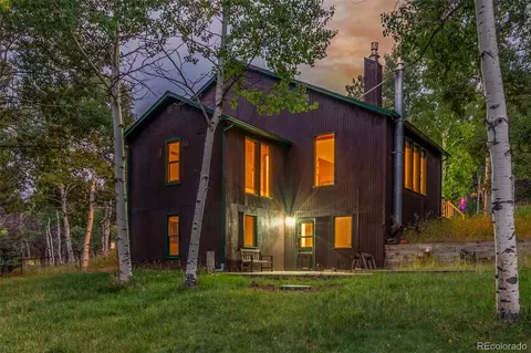 Exterior - 19 Yew Ln, Bailey, CO 80421 photo 6 of 9