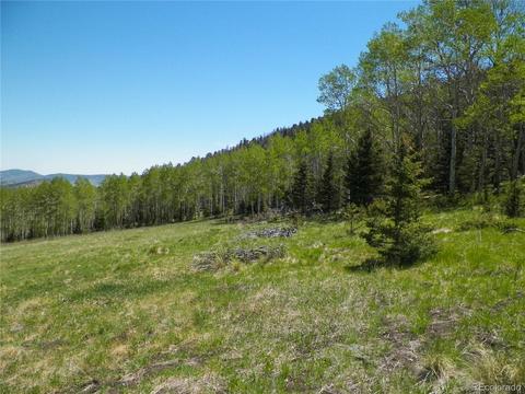 369 Lone Eagle Rd, Westcliffe, CO 81252 photo 13