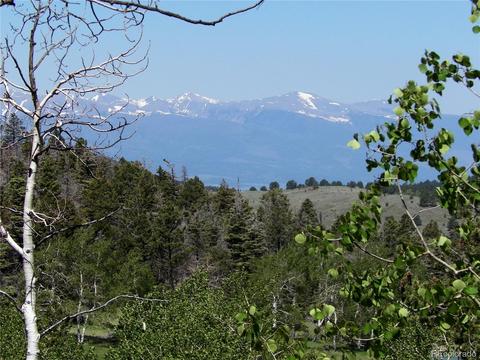 369 Lone Eagle Rd, Westcliffe, CO 81252 photo 3