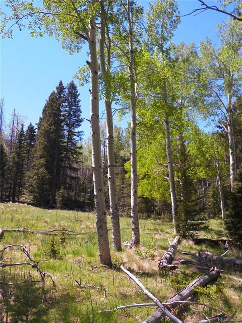 369 Lone Eagle Rd, Westcliffe, CO 81252 photo 12