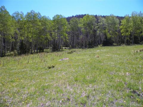 369 Lone Eagle Rd, Westcliffe, CO 81252 photo 19