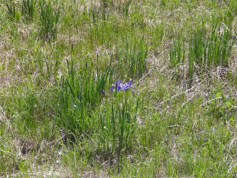 369 Lone Eagle Rd, Westcliffe, CO 81252 photo 23