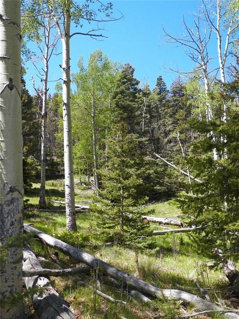 369 Lone Eagle Rd, Westcliffe, CO 81252 photo 11
