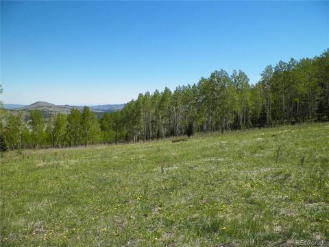 369 Lone Eagle Rd, Westcliffe, CO 81252 photo 10