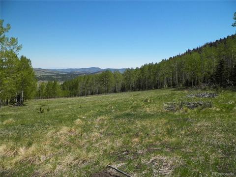 369 Lone Eagle Rd, Westcliffe, CO 81252 photo 20