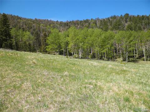 369 Lone Eagle Rd, Westcliffe, CO 81252 photo 21