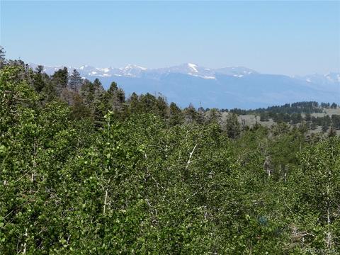 369 Lone Eagle Rd, Westcliffe, CO 81252 photo 7
