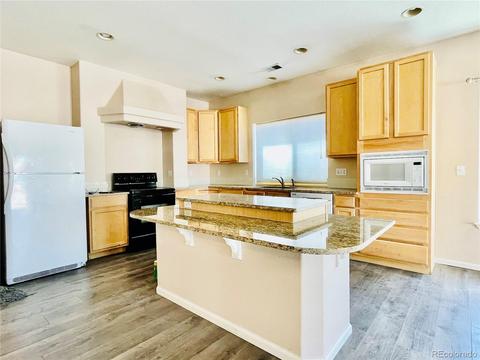 21353 E 48th Dr, Denver, CO 80249 photo 8
