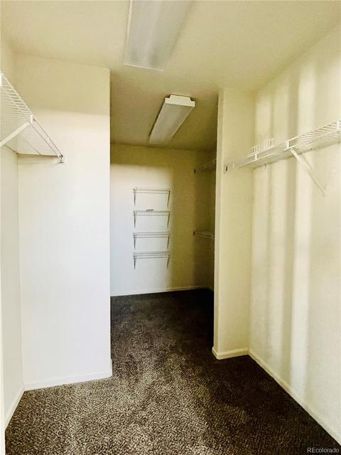 21353 E 48th Dr, Denver, CO 80249 photo 15