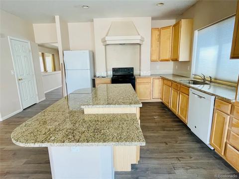 21353 E 48th Dr, Denver, CO 80249 photo 9