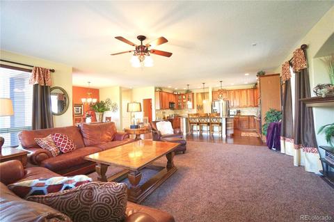 5627 Sawdust Loop, Parker, CO 80134 photo 13