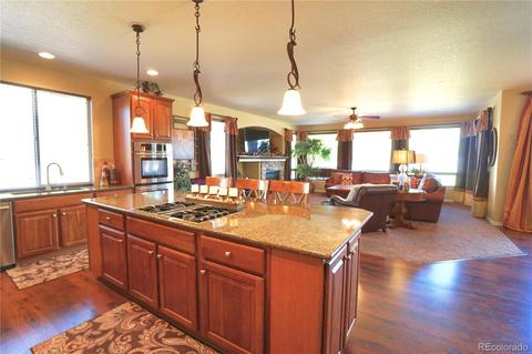 5627 Sawdust Loop, Parker, CO 80134 photo 14