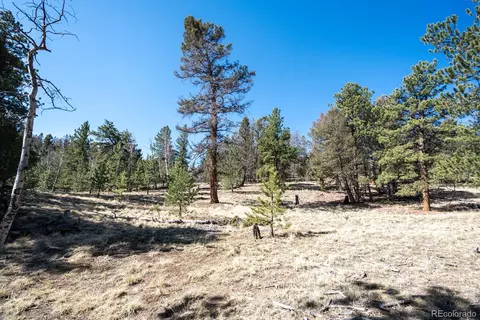 Other - 1657 Windmill Dr, Hartsel, CO 80449 photo 21 of 30