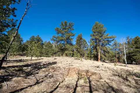 Other - 1657 Windmill Dr, Hartsel, CO 80449 photo 26 of 30