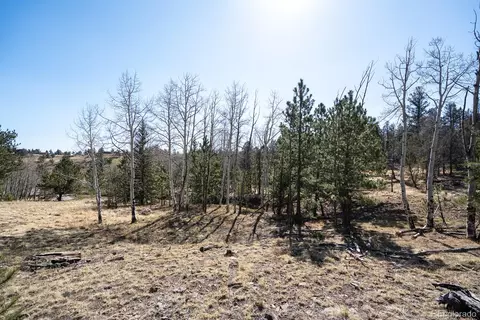 Other - 1657 Windmill Dr, Hartsel, CO 80449 photo 23 of 30