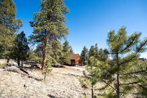Other - 1657 Windmill Dr, Hartsel, CO 80449 photo 22 of 30