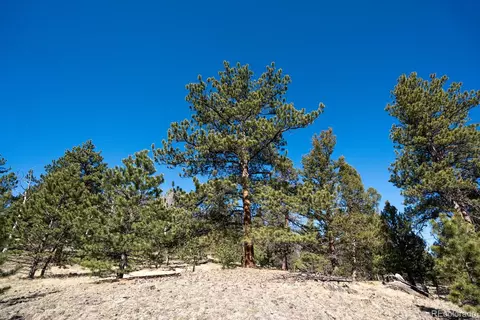 Other - 1657 Windmill Dr, Hartsel, CO 80449 photo 24 of 30