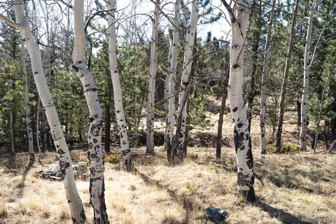 Other - 1657 Windmill Dr, Hartsel, CO 80449 photo 29 of 30