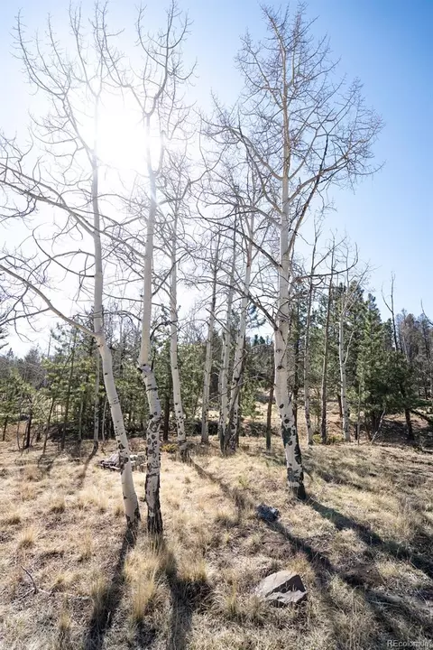 Other - 1657 Windmill Dr, Hartsel, CO 80449 photo 30 of 30