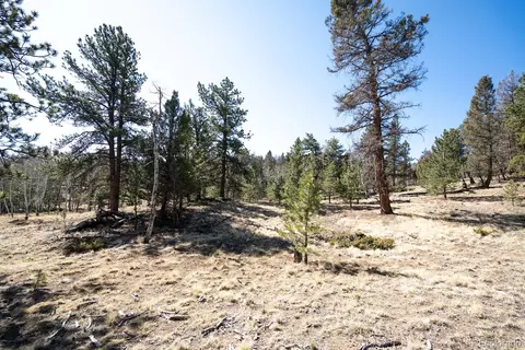 Other - 1657 Windmill Dr, Hartsel, CO 80449 photo 20 of 30