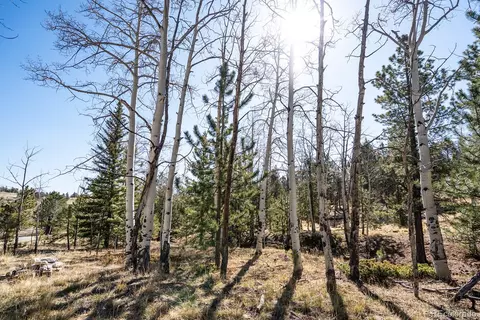 Other - 1657 Windmill Dr, Hartsel, CO 80449 photo 25 of 30