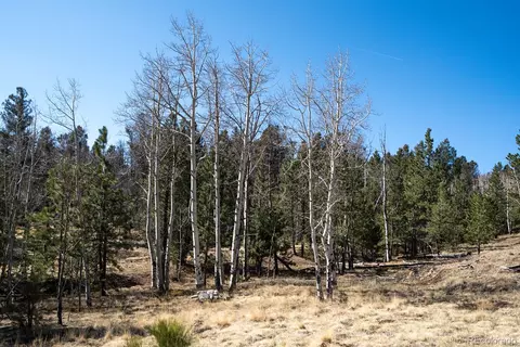 Other - 1657 Windmill Dr, Hartsel, CO 80449 photo 28 of 30