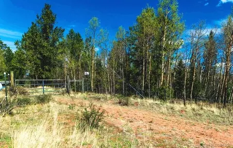 977 County Road 61, Divide, CO 80814 photo 8