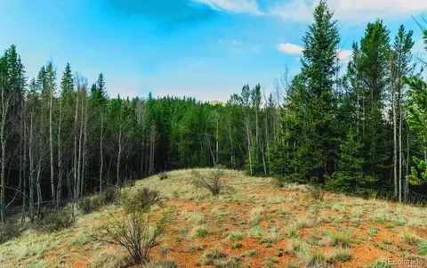 977 County Road 61, Divide, CO 80814 photo 9