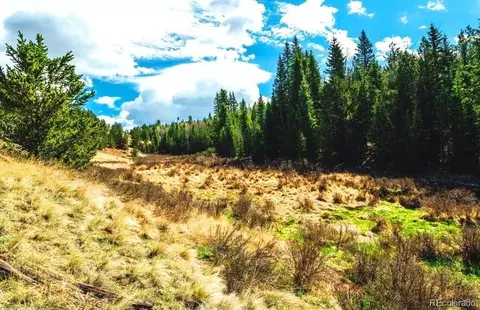 977 County Road 61, Divide, CO 80814 photo 10