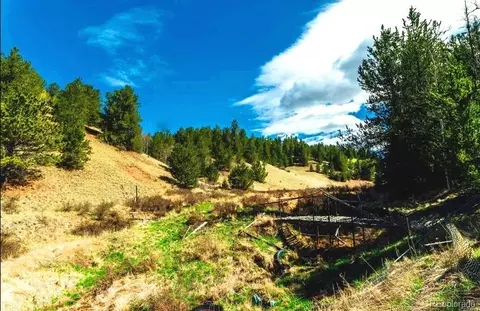 977 County Road 61, Divide, CO 80814 photo 11