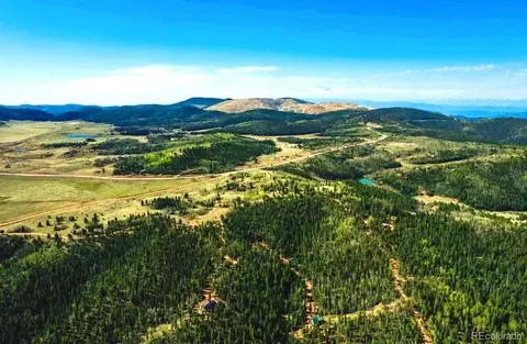 977 County Road 61, Divide, CO 80814 photo 16