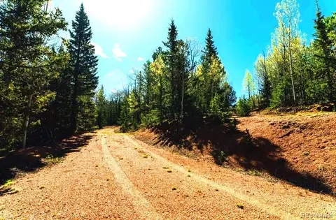 977 County Road 61, Divide, CO 80814 photo 7