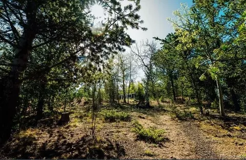 977 County Road 61, Divide, CO 80814 photo 12
