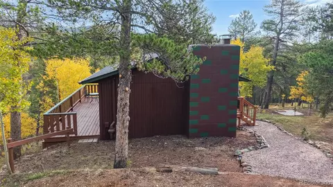 Other - 225 Renaud Rd, Bailey, CO 80421 photo 13 of 20